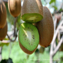 2011 Chine kiwi frais